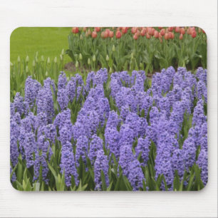 Tulpen- und Hyazinthen-Garten, Keukenhof-Gärten, Mousepad