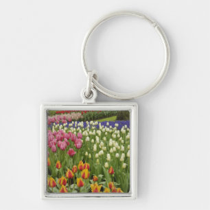 Tulpen- und Hyazinthen-Garten, Keukenhof-Gärten, Schlüsselanhänger