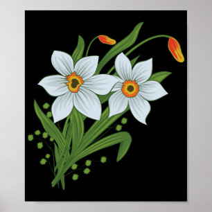 Tulpen und Narzissen Blumen schwarzer Hintergrund Poster