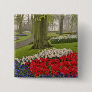 Tulpen und Narzissen, Keukenhof-Gärten, Button