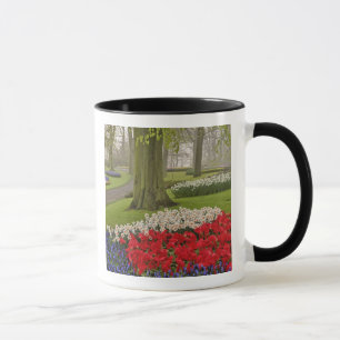 Tulpen und Narzissen, Keukenhof-Gärten, Tasse