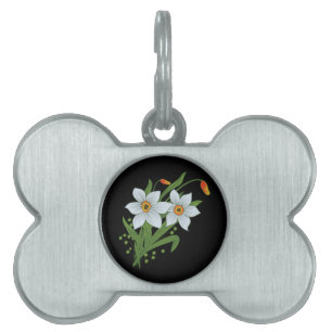 Tulpen und Osterglocken Blumen Schwarzer Hintergru Tiermarke