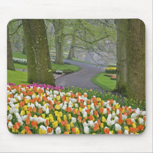 Tulpen und Straße, Keukenhof-Gärten, Lisse, Mousepad