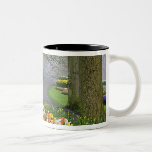 Tulpen und Straße, Keukenhof-Gärten, Lisse, Zweifarbige Tasse