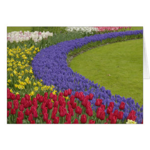 Tulpen- und Traubenhyazinthen- und Narzissengarten
