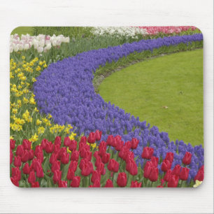 Tulpen- und Traubenhyazinthen- und Narzissengarten Mousepad