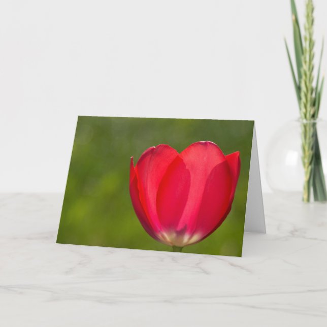 Tulpen und Tulpen Karte (Vorderseite)