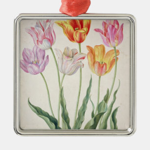 Tulpen, vom "NassauFlorilegium" (w/c auf pape Silbernes Ornament