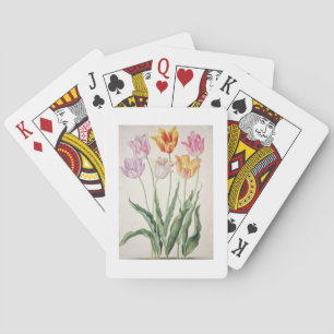 Tulpen, vom "NassauFlorilegium" (w/c auf pape Spielkarten