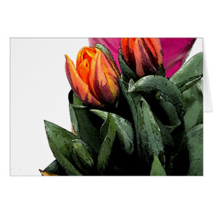 Tulpen wieder