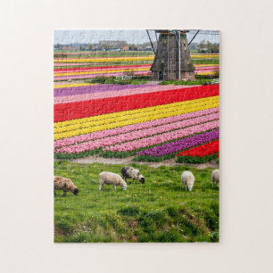 Tulpen-Windmühlen-Puzzle