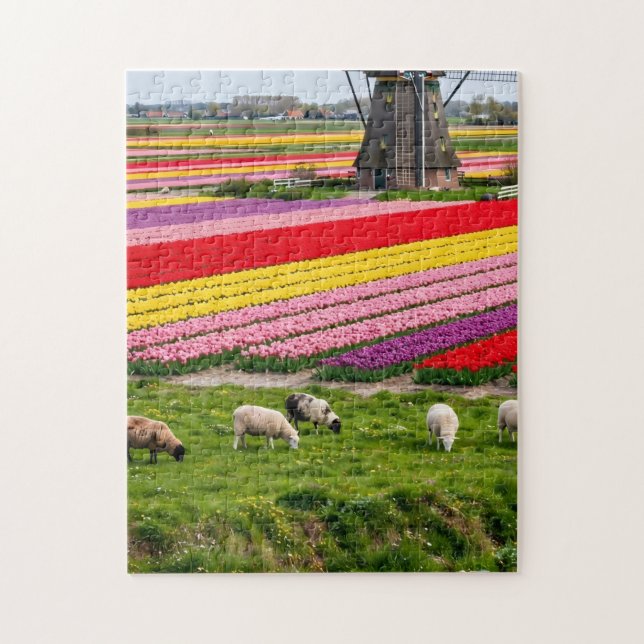 Tulpen-Windmühlen-Puzzle (Vertikal)