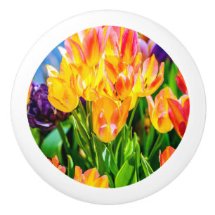 Tulpenblumen - Blühen Keramikknauf