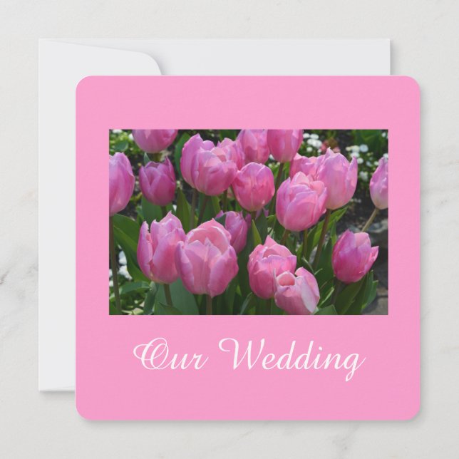 Tulpenblüte Einladung (Rückseite)