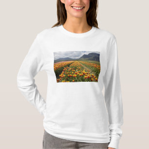 Tulpenfarm in der Nähe von Agassiz, British Columb T-Shirt