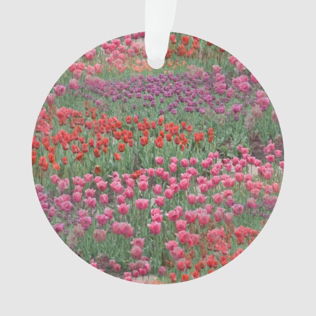 Tulpenfeld Ornament (Vorderseite)