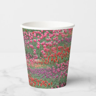 Tulpenfeld Pappbecher