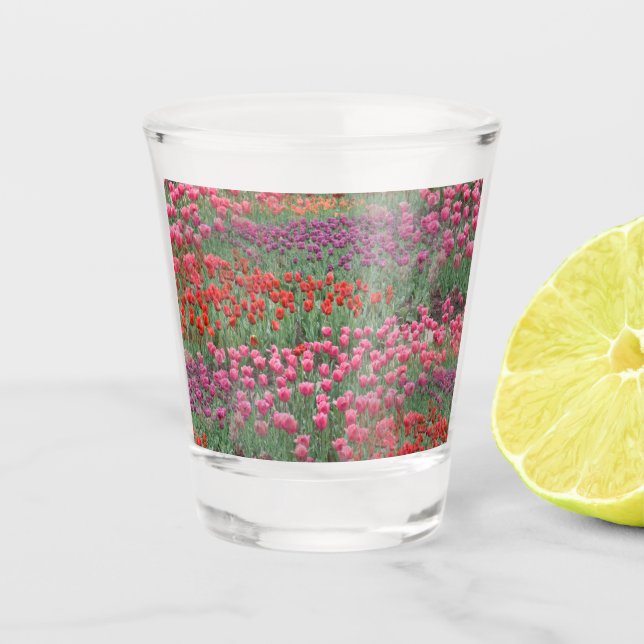 Tulpenfeld Schnapsglas (Vorderseite)