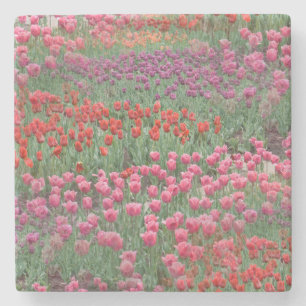 Tulpenfeld Steinuntersetzer