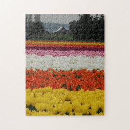 Tulpenfelder-Puzzle, 28 cm x 36 cm, 252 Teile