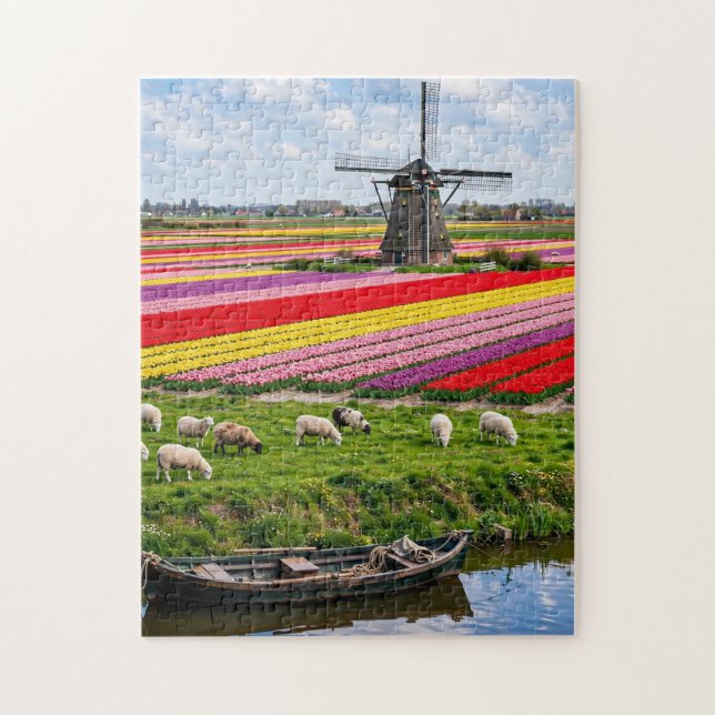 Tulpenfelder und Windmühle (Vertikal)