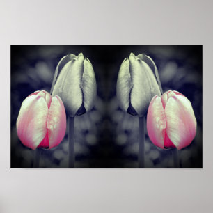 Tulpenpaar Kunst Schwarzweiß Teilfarbe  Poster