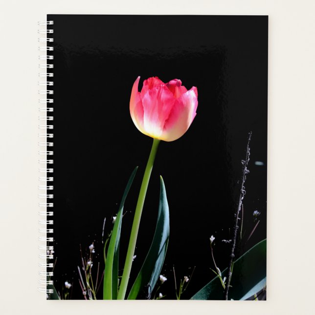 Tulpenplaner Planer (Vorderseite)