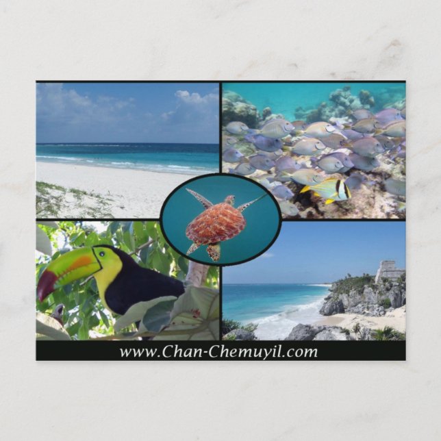 Tulum Vacation Rentals - Chan Chemuyil Post Card Postkarte (Vorderseite)