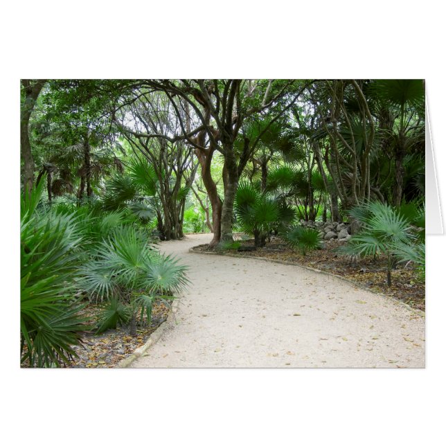 Tulumweg (Vorderseite (Horizontal))