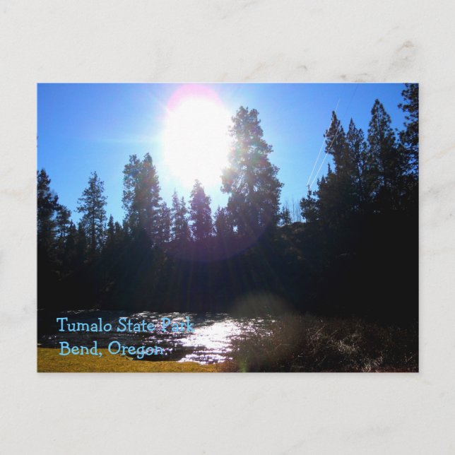 Tumalo Staat Park Postkarte (Vorderseite)