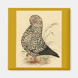 Tumbler: LFCL Splash Magnet