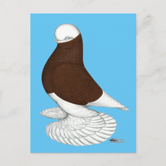 Tumbler:  Muffed Red Bald Postkarte (Vorderseite)