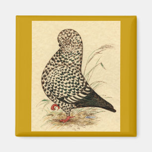 Tumbler Pigeon LFCL Splash Magnet