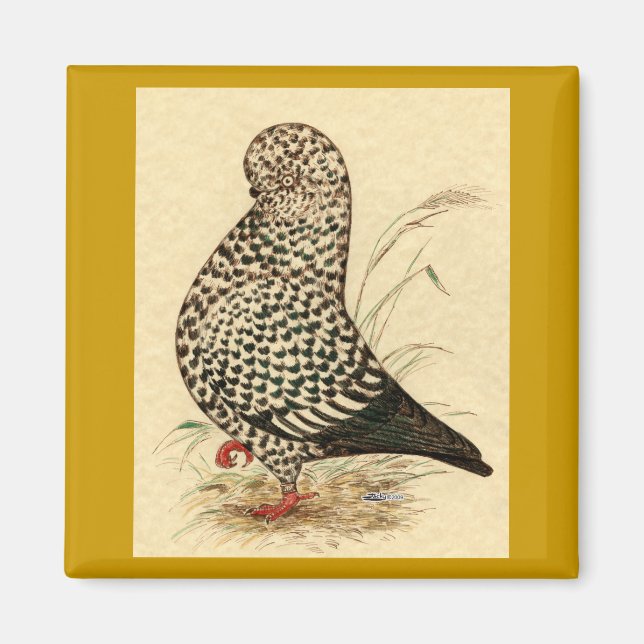 Tumbler Pigeon LFCL Splash Magnet (Vorne)