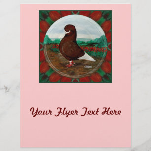 Tumbler Red Beard Pigeon Flyer