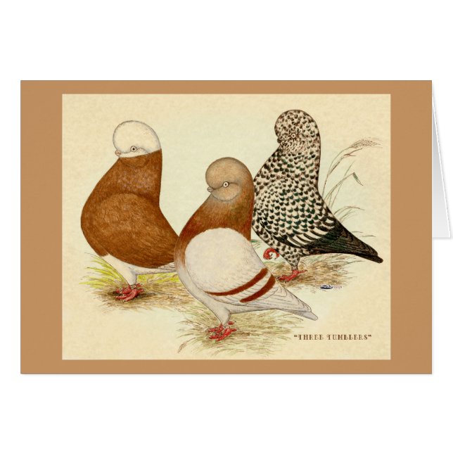 Tumblers Three (Vorderseite (Horizontal))