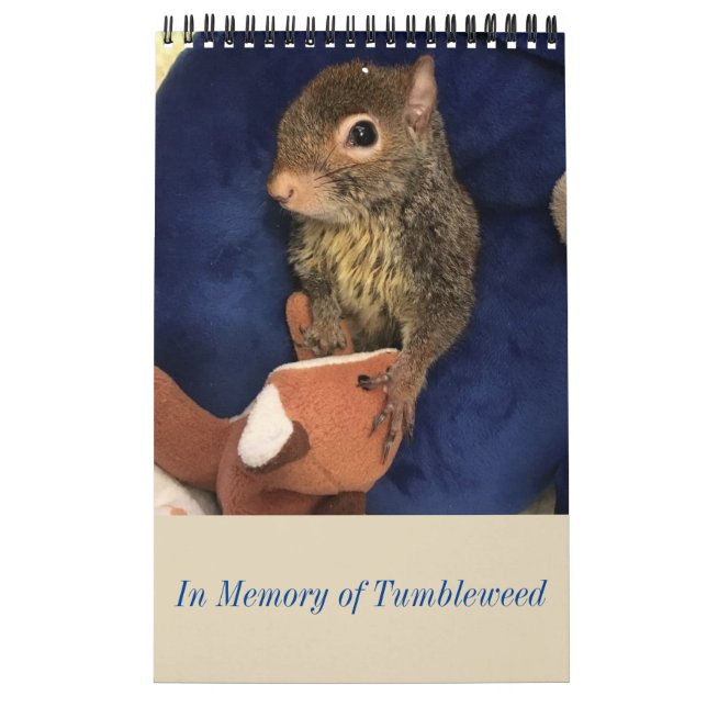 Tumblewegekalender Kalender (Titelbild)
