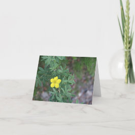 Tundra Rose - 4" x 5.6" Notecard Feiertagskarte