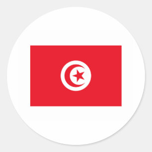 Tunesien-FLAGGE International Runder Aufkleber