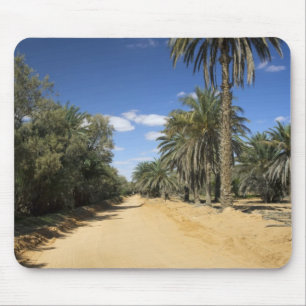 Tunesien, Ksour Area, Ksar Ghilane, Dattelpalme Mousepad