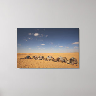 Tunesien, Ksour-Gebiet, Ksar Ghilane, Grand Erg 2 Leinwanddruck