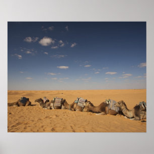 Tunesien, Ksour-Gebiet, Ksar Ghilane, Grand Erg 2 Poster