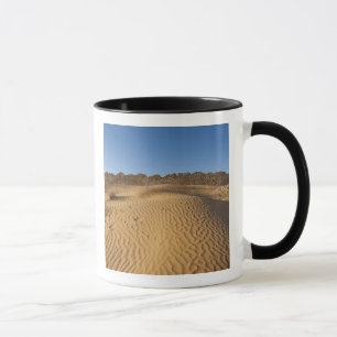 Tunesien, Ksour-Gebiet, Ksar Ghilane, Grand Erg 2 Tasse