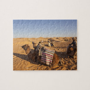 Tunesien, Ksour-Gebiet, Ksar Ghilane, Grand Erg 3