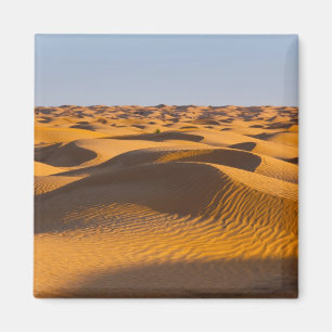 Tunesien, Ksour-Gebiet, Ksar Ghilane, Grand Erg 4 Magnet