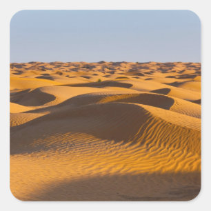 Tunesien, Ksour-Gebiet, Ksar Ghilane, Grand Erg 4 Quadratischer Aufkleber
