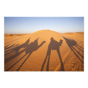 Tunesien, Ksour-Gebiet, Ksar Ghilane, Grand Erg 5 Fotodruck