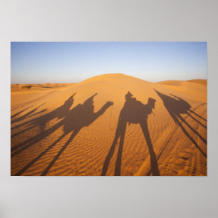 Tunesien, Ksour-Gebiet, Ksar Ghilane, Grand Erg 5 Poster