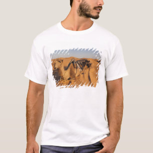 Tunesien, Ksour-Gebiet, Ksar Ghilane, Grand Erg 5 T-Shirt