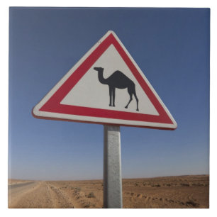 Tunesien, Ksour-Gebiet, Ksar Ghilane, Grand Erg 6 Fliese